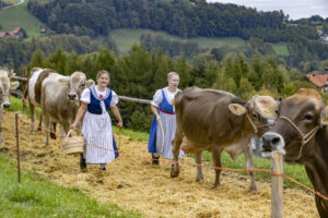 Appenzell, Appenzell Ausserrohden, Appenzeller Vorderland, Autumn, Brauchtum, Fall, Heiden, Herbst, Landwirtschaft, Ostschweiz, Schweiz, Suisse, Switzerland, Tracht, Viehschau, Wirtschaft