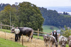 Appenzell, Appenzell Ausserrohden, Appenzeller Vorderland, Autumn, Brauchtum, Fall, Heiden, Herbst, Landwirtschaft, Ostschweiz, Schweiz, Suisse, Switzerland, Tracht, Viehschau, Wirtschaft