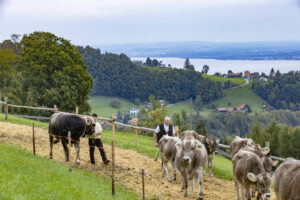 Appenzell, Appenzell Ausserrohden, Appenzeller Vorderland, Autumn, Brauchtum, Fall, Heiden, Herbst, Landwirtschaft, Ostschweiz, Schweiz, Suisse, Switzerland, Tracht, Viehschau, Wirtschaft