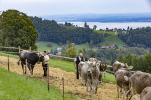 Appenzell, Appenzell Ausserrohden, Appenzeller Vorderland, Autumn, Brauchtum, Fall, Heiden, Herbst, Landwirtschaft, Ostschweiz, Schweiz, Suisse, Switzerland, Tracht, Viehschau, Wirtschaft