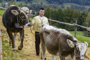 Appenzell, Appenzell Ausserrohden, Appenzeller Vorderland, Autumn, Brauchtum, Fall, Heiden, Herbst, Landwirtschaft, Ostschweiz, Schweiz, Suisse, Switzerland, Tracht, Viehschau, Wirtschaft
