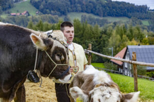 Appenzell, Appenzell Ausserrohden, Appenzeller Vorderland, Autumn, Brauchtum, Fall, Heiden, Herbst, Landwirtschaft, Ostschweiz, Schweiz, Suisse, Switzerland, Tracht, Viehschau, Wirtschaft