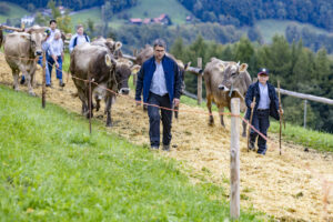 Appenzell, Appenzell Ausserrohden, Appenzeller Vorderland, Autumn, Brauchtum, Fall, Heiden, Herbst, Landwirtschaft, Ostschweiz, Schweiz, Suisse, Switzerland, Tracht, Viehschau, Wirtschaft