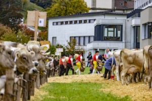 Appenzell, Appenzell Ausserrohden, Appenzeller Vorderland, Autumn, Brauchtum, Fall, Heiden, Herbst, Landwirtschaft, Ostschweiz, Schweiz, Suisse, Switzerland, Tracht, Viehschau, Wirtschaft