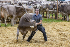 Appenzell, Appenzell Ausserrohden, Appenzeller Vorderland, Autumn, Brauchtum, Fall, Heiden, Herbst, Landwirtschaft, Ostschweiz, Schweiz, Suisse, Switzerland, Tracht, Viehschau, Wirtschaft