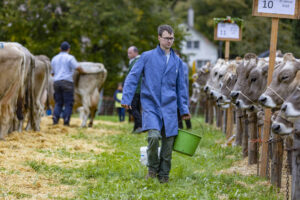 Appenzell, Appenzell Ausserrohden, Appenzeller Vorderland, Autumn, Brauchtum, Fall, Heiden, Herbst, Landwirtschaft, Ostschweiz, Schweiz, Suisse, Switzerland, Tracht, Viehschau, Wirtschaft