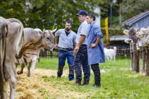 Appenzell, Appenzell Ausserrohden, Appenzeller Vorderland, Autumn, Brauchtum, Fall, Heiden, Herbst, Landwirtschaft, Ostschweiz, Schweiz, Suisse, Switzerland, Tracht, Viehschau, Wirtschaft