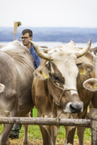 Appenzell, Appenzell Ausserrohden, Appenzeller Vorderland, Autumn, Brauchtum, Fall, Heiden, Herbst, Landwirtschaft, Ostschweiz, Schweiz, Suisse, Switzerland, Tracht, Viehschau, Wirtschaft
