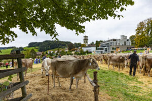 Appenzell, Appenzell Ausserrohden, Appenzeller Vorderland, Autumn, Brauchtum, Fall, Heiden, Herbst, Landwirtschaft, Ostschweiz, Schweiz, Suisse, Switzerland, Tracht, Viehschau, Wirtschaft