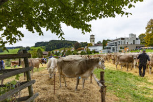 Appenzell, Appenzell Ausserrohden, Appenzeller Vorderland, Autumn, Brauchtum, Fall, Heiden, Herbst, Landwirtschaft, Ostschweiz, Schweiz, Suisse, Switzerland, Tracht, Viehschau, Wirtschaft