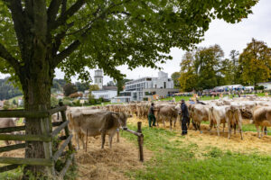 Appenzell, Appenzell Ausserrohden, Appenzeller Vorderland, Autumn, Brauchtum, Fall, Heiden, Herbst, Landwirtschaft, Ostschweiz, Schweiz, Suisse, Switzerland, Tracht, Viehschau, Wirtschaft