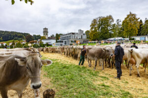 Appenzell, Appenzell Ausserrohden, Appenzeller Vorderland, Autumn, Brauchtum, Fall, Heiden, Herbst, Landwirtschaft, Ostschweiz, Schweiz, Suisse, Switzerland, Tracht, Viehschau, Wirtschaft