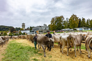 Appenzell, Appenzell Ausserrohden, Appenzeller Vorderland, Autumn, Brauchtum, Fall, Heiden, Herbst, Landwirtschaft, Ostschweiz, Schweiz, Suisse, Switzerland, Tracht, Viehschau, Wirtschaft