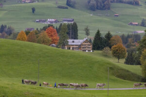 Appenzell, Appenzell Ausserrohden, Appenzeller Hinterland, Autumn, Fall, Herbst, Hundwil, Schweiz, Suisse, Switzerland, Tracht, Viehschau, tradition