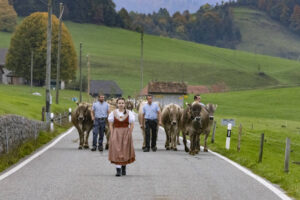 Appenzell, Appenzell Ausserrohden, Appenzeller Hinterland, Autumn, Fall, Herbst, Hundwil, Schweiz, Suisse, Switzerland, Tracht, Viehschau, tradition