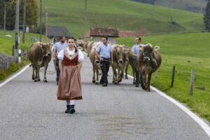 Appenzell, Appenzell Ausserrohden, Appenzeller Hinterland, Autumn, Fall, Herbst, Hundwil, Schweiz, Suisse, Switzerland, Tracht, Viehschau, tradition