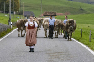 Appenzell, Appenzell Ausserrohden, Appenzeller Hinterland, Autumn, Fall, Herbst, Hundwil, Schweiz, Suisse, Switzerland, Tracht, Viehschau, tradition