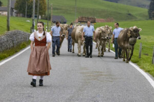 Appenzell, Appenzell Ausserrohden, Appenzeller Hinterland, Autumn, Fall, Herbst, Hundwil, Schweiz, Suisse, Switzerland, Tracht, Viehschau, tradition