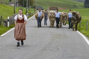 Appenzell, Appenzell Ausserrohden, Appenzeller Hinterland, Autumn, Fall, Herbst, Hundwil, Schweiz, Suisse, Switzerland, Tracht, Viehschau, tradition