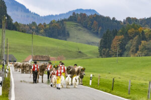 Appenzell, Appenzell Ausserrohden, Appenzeller Hinterland, Autumn, Fall, Herbst, Hundwil, Schweiz, Suisse, Switzerland, Tracht, Viehschau, tradition