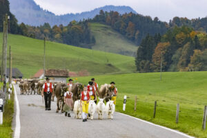 Appenzell, Appenzell Ausserrohden, Appenzeller Hinterland, Autumn, Fall, Herbst, Hundwil, Schweiz, Suisse, Switzerland, Tracht, Viehschau, tradition