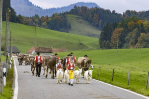 Appenzell, Appenzell Ausserrohden, Appenzeller Hinterland, Autumn, Fall, Herbst, Hundwil, Schweiz, Suisse, Switzerland, Tracht, Viehschau, tradition