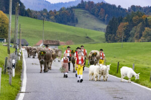 Appenzell, Appenzell Ausserrohden, Appenzeller Hinterland, Autumn, Fall, Herbst, Hundwil, Schweiz, Suisse, Switzerland, Tracht, Viehschau, tradition