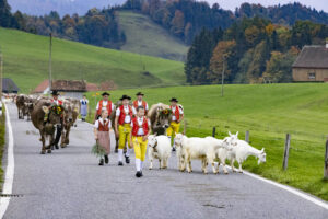 Appenzell, Appenzell Ausserrohden, Appenzeller Hinterland, Autumn, Fall, Herbst, Hundwil, Schweiz, Suisse, Switzerland, Tracht, Viehschau, tradition