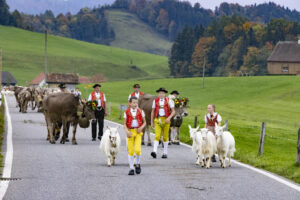 Appenzell, Appenzell Ausserrohden, Appenzeller Hinterland, Autumn, Fall, Herbst, Hundwil, Schweiz, Suisse, Switzerland, Tracht, Viehschau, tradition