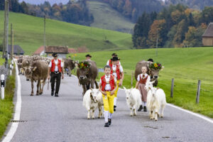 Appenzell, Appenzell Ausserrohden, Appenzeller Hinterland, Autumn, Fall, Herbst, Hundwil, Schweiz, Suisse, Switzerland, Tracht, Viehschau, tradition