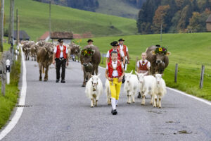 Appenzell, Appenzell Ausserrohden, Appenzeller Hinterland, Autumn, Fall, Herbst, Hundwil, Schweiz, Suisse, Switzerland, Tracht, Viehschau, tradition