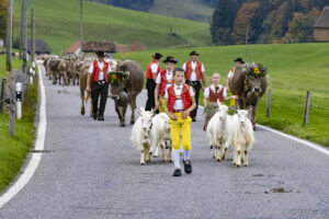 Appenzell, Appenzell Ausserrohden, Appenzeller Hinterland, Autumn, Fall, Herbst, Hundwil, Schweiz, Suisse, Switzerland, Tracht, Viehschau, tradition