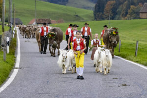 Appenzell, Appenzell Ausserrohden, Appenzeller Hinterland, Autumn, Fall, Herbst, Hundwil, Schweiz, Suisse, Switzerland, Tracht, Viehschau, tradition