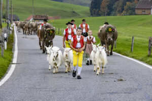 Appenzell, Appenzell Ausserrohden, Appenzeller Hinterland, Autumn, Fall, Herbst, Hundwil, Schweiz, Suisse, Switzerland, Tracht, Viehschau, tradition