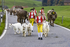 Appenzell, Appenzell Ausserrohden, Appenzeller Hinterland, Autumn, Fall, Herbst, Hundwil, Schweiz, Suisse, Switzerland, Tracht, Viehschau, tradition