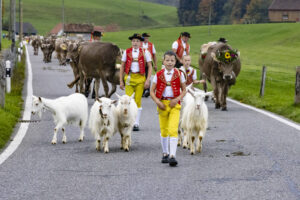 Appenzell, Appenzell Ausserrohden, Appenzeller Hinterland, Autumn, Fall, Herbst, Hundwil, Schweiz, Suisse, Switzerland, Tracht, Viehschau, tradition