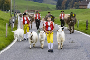 Appenzell, Appenzell Ausserrohden, Appenzeller Hinterland, Autumn, Fall, Herbst, Hundwil, Schweiz, Suisse, Switzerland, Tracht, Viehschau, tradition