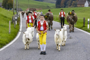 Appenzell, Appenzell Ausserrohden, Appenzeller Hinterland, Autumn, Fall, Herbst, Hundwil, Schweiz, Suisse, Switzerland, Tracht, Viehschau, tradition