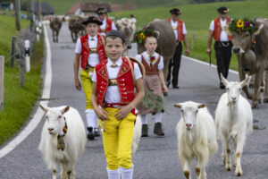 Appenzell, Appenzell Ausserrohden, Appenzeller Hinterland, Autumn, Fall, Herbst, Hundwil, Schweiz, Suisse, Switzerland, Tracht, Viehschau, tradition