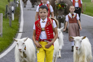 Appenzell, Appenzell Ausserrohden, Appenzeller Hinterland, Autumn, Fall, Herbst, Hundwil, Schweiz, Suisse, Switzerland, Tracht, Viehschau, tradition