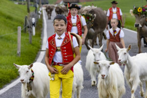 Appenzell, Appenzell Ausserrohden, Appenzeller Hinterland, Autumn, Fall, Herbst, Hundwil, Schweiz, Suisse, Switzerland, Tracht, Viehschau, tradition