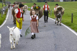 Appenzell, Appenzell Ausserrohden, Appenzeller Hinterland, Autumn, Fall, Herbst, Hundwil, Schweiz, Suisse, Switzerland, Tracht, Viehschau, tradition