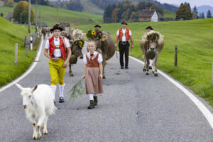 Appenzell, Appenzell Ausserrohden, Appenzeller Hinterland, Autumn, Fall, Herbst, Hundwil, Schweiz, Suisse, Switzerland, Tracht, Viehschau, tradition