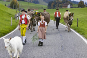 Appenzell, Appenzell Ausserrohden, Appenzeller Hinterland, Autumn, Fall, Herbst, Hundwil, Schweiz, Suisse, Switzerland, Tracht, Viehschau, tradition