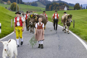 Appenzell, Appenzell Ausserrohden, Appenzeller Hinterland, Autumn, Fall, Herbst, Hundwil, Schweiz, Suisse, Switzerland, Tracht, Viehschau, tradition