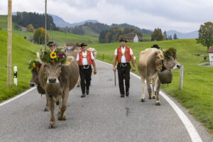 Appenzell, Appenzell Ausserrohden, Appenzeller Hinterland, Autumn, Fall, Herbst, Hundwil, Schweiz, Suisse, Switzerland, Tracht, Viehschau, tradition