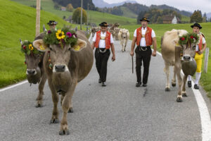 Appenzell, Appenzell Ausserrohden, Appenzeller Hinterland, Autumn, Fall, Herbst, Hundwil, Schweiz, Suisse, Switzerland, Tracht, Viehschau, tradition