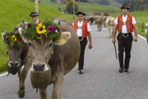 Appenzell, Appenzell Ausserrohden, Appenzeller Hinterland, Autumn, Fall, Herbst, Hundwil, Schweiz, Suisse, Switzerland, Tracht, Viehschau, tradition