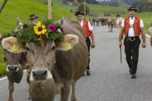 Appenzell, Appenzell Ausserrohden, Appenzeller Hinterland, Autumn, Fall, Herbst, Hundwil, Schweiz, Suisse, Switzerland, Tracht, Viehschau, tradition