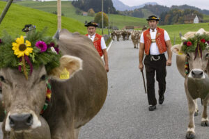 Appenzell, Appenzell Ausserrohden, Appenzeller Hinterland, Autumn, Fall, Herbst, Hundwil, Schweiz, Suisse, Switzerland, Tracht, Viehschau, tradition